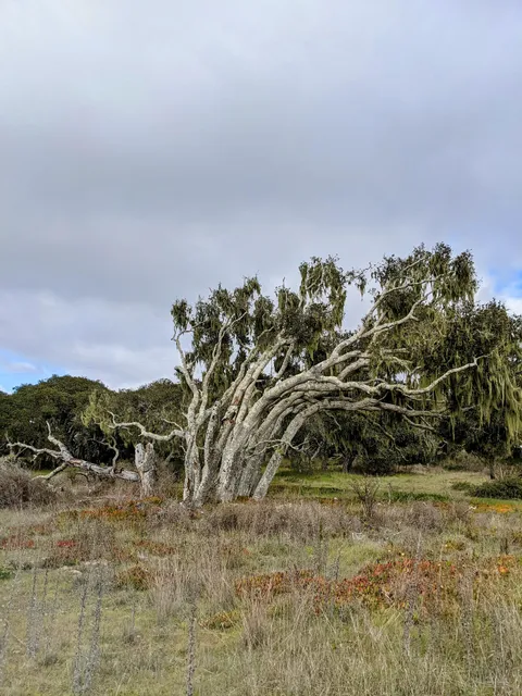 Trail 67/68 Scenic View
