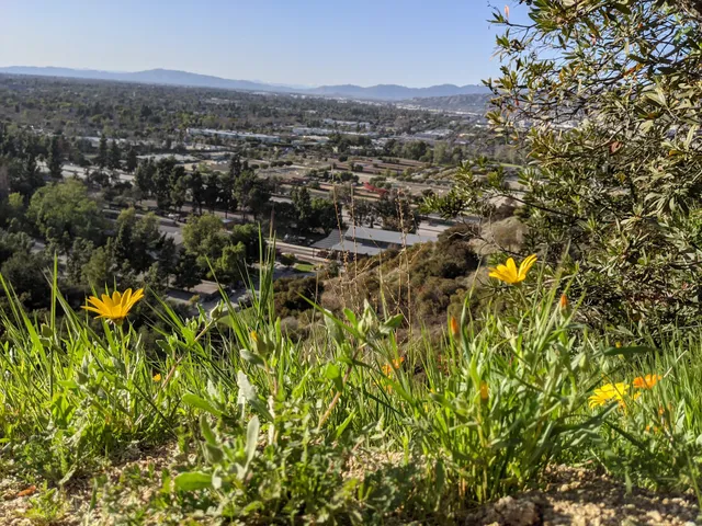 Rattlesnake Trailhead