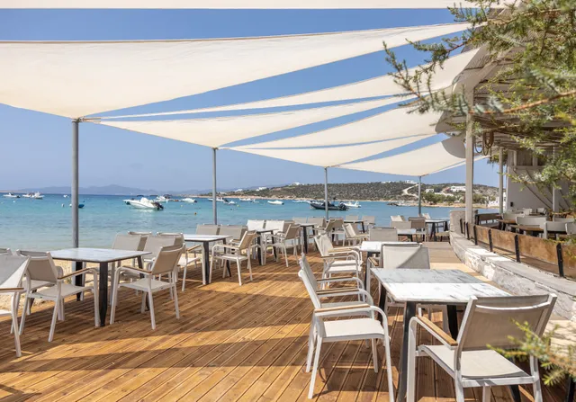 Theros Seaside Paros
