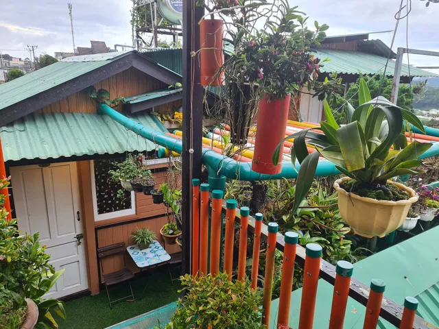 Ziczac Homstay & coffee