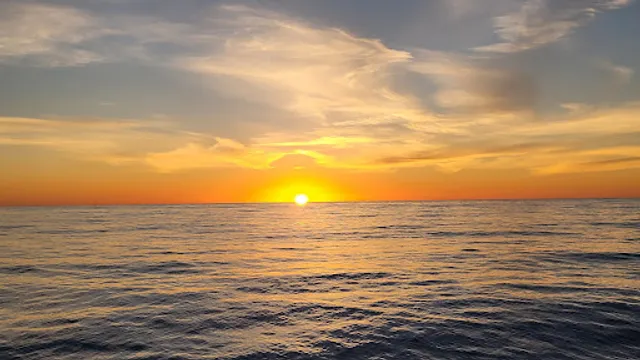 San Diego Whale Watch