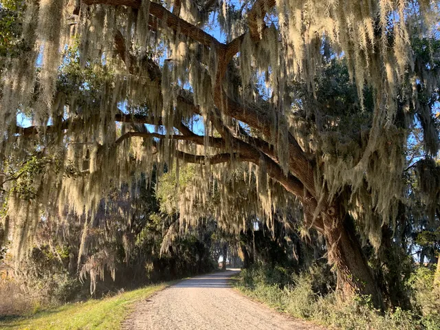 Savannah National Wildlife Refuge