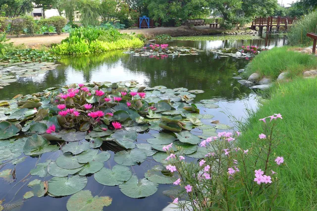 洋子厝溪人工濕地生態池