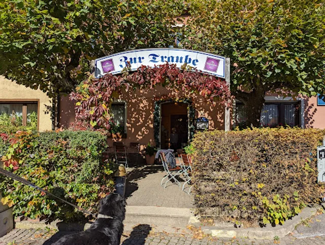 Gaststätte zur Traube Inh.Karl Bammler