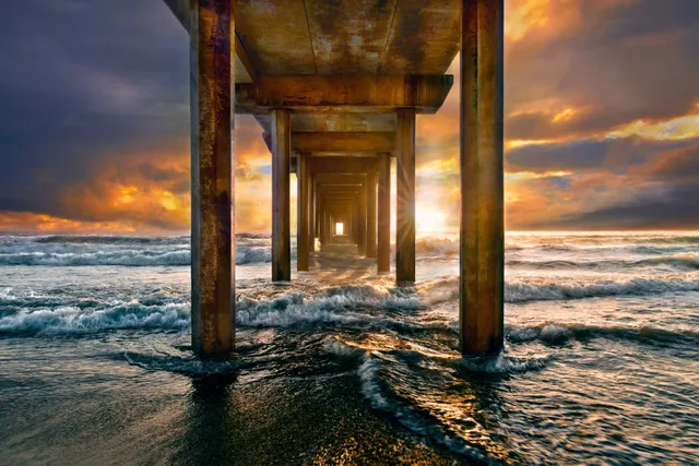 Ian Ely Gallery - La Jolla