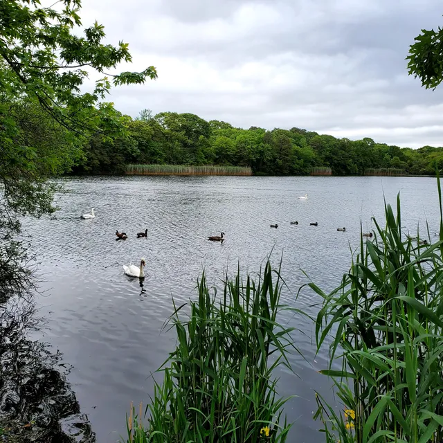 Bethpage State Park Bicycle Path