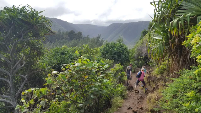 Pololu Trail