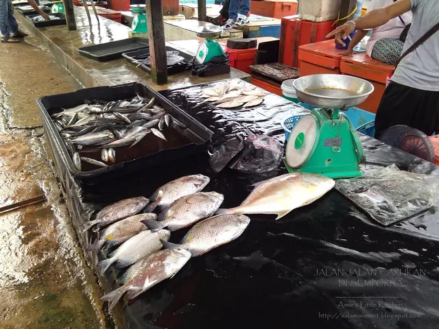 Pelabuhan kapal ikan Semporna KOSTOM