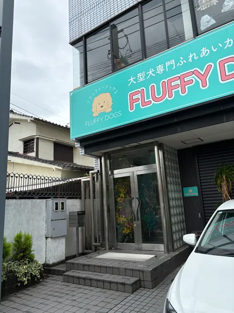 Fluffy dogs フラッフィードッグス