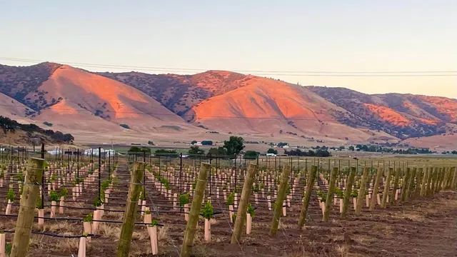 Hochland Wines - Saar Family Vineyard