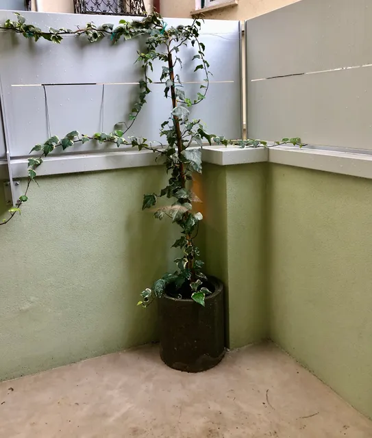 Welcomeverona appartamenti turistici via Salvo D'acquisto 9 Verona