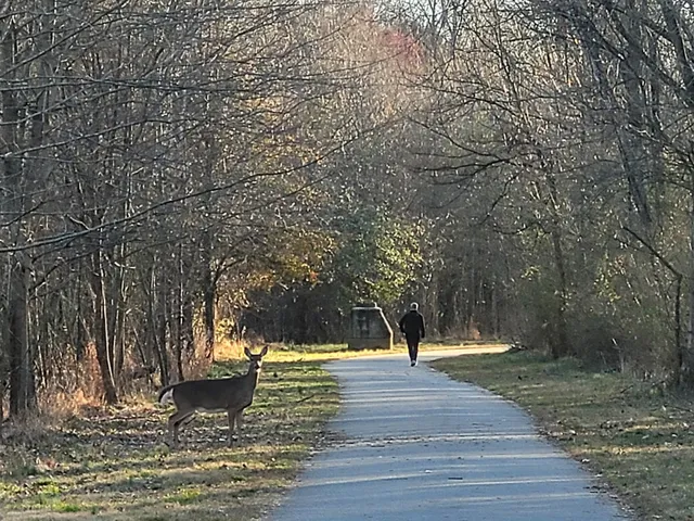 North Branch Torrence Creek Greenway