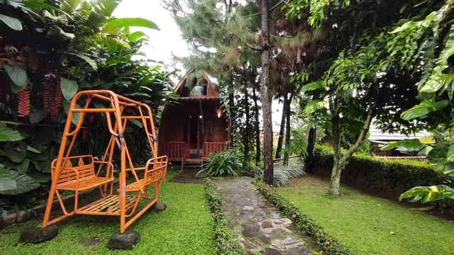 Saung Orange