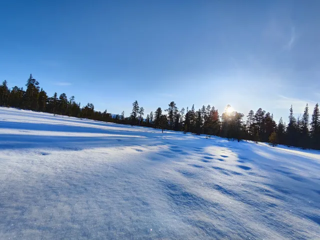 Husky Park Lesnaya Elan