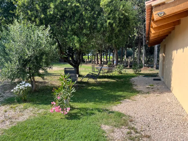 Gîtes la petite violette - l’amandier enchanté