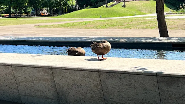 Shinagawa Season Terrace Event Plaza