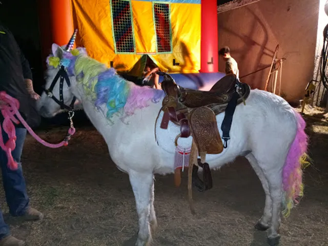 Pickles the pony (mobile rental)