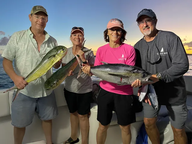 Ocean Surfari | Retail Store | St. John