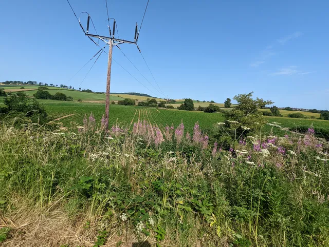 Comber Greenway: Start Point