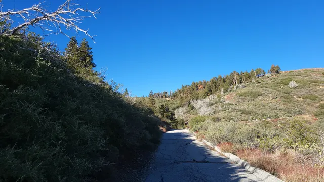 Lightning Point Group Campground