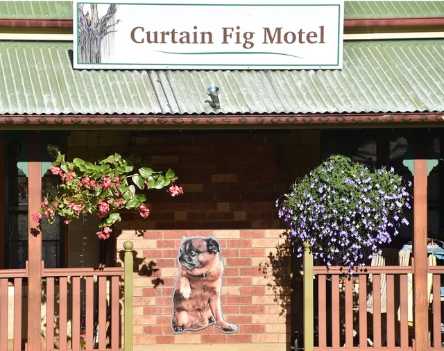 Curtain Fig Motel