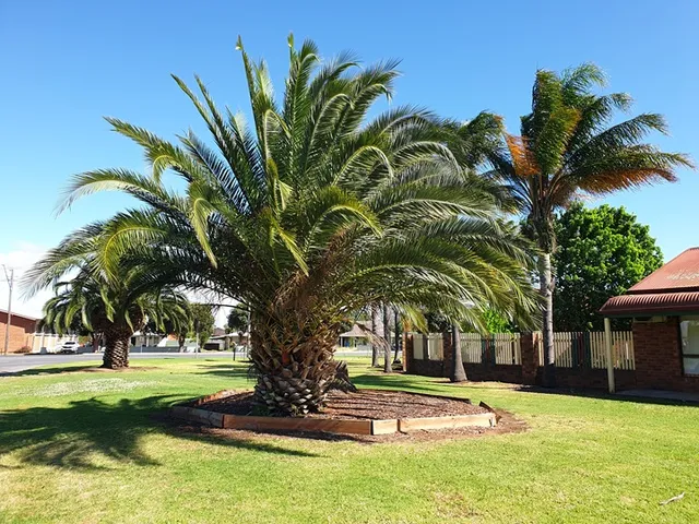 Finley Palm Motor Inn