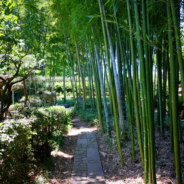 Akatsuka Botanical Garden