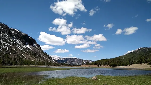 Madison Information Station