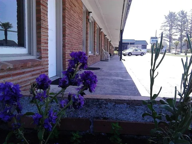 Blue Coast Inn & Suites