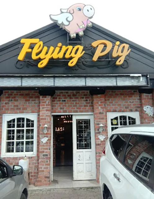 Flying Pig