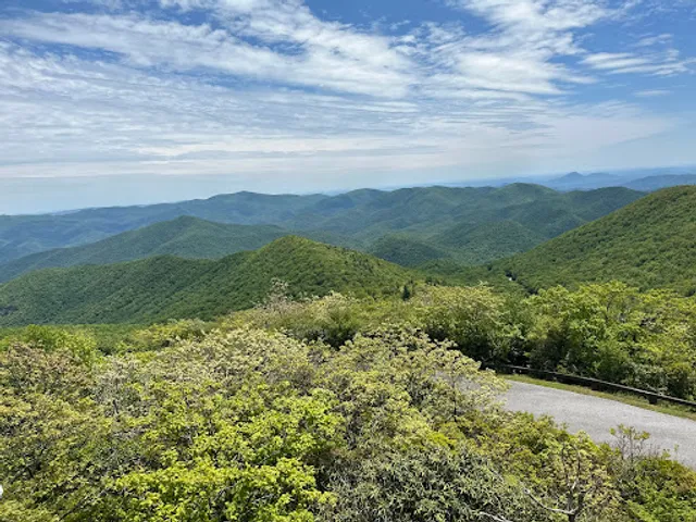 Brasstown Bald