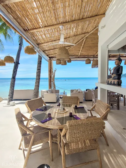 Elephant Beach Club