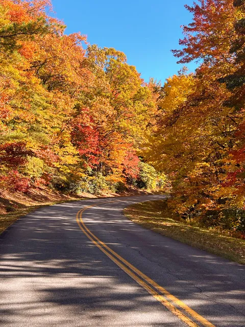 Blue Ridge Parkway - Highway 221/321 Access Point