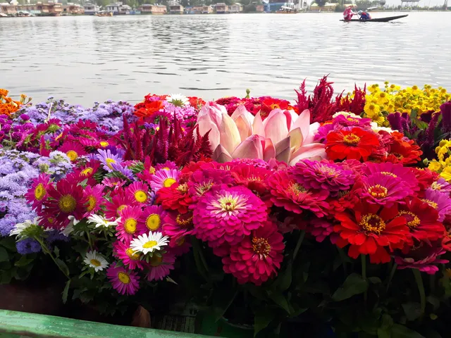 Houseboat Zaindari Palace