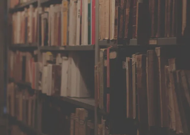 Bibliothèque russe Tourguenev