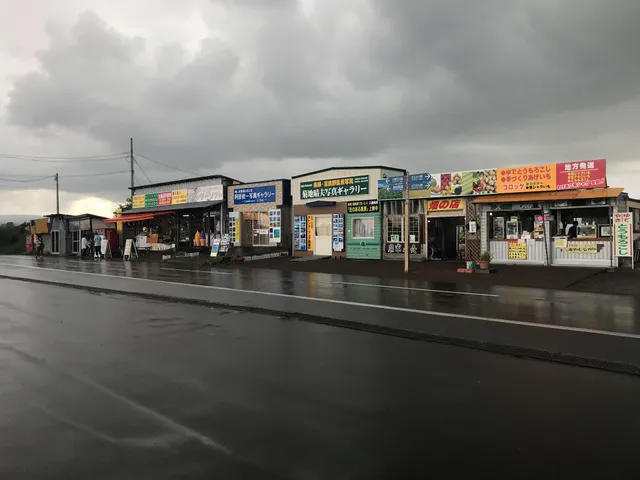 阿部俊一 写真ギャラリー