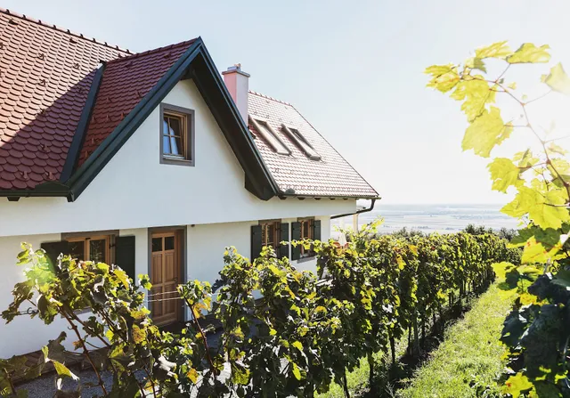 Kellerstöckl Weinblick