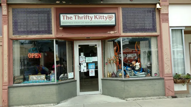 Thrifty Kitty