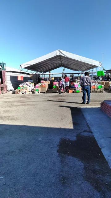Las Palmas Swap Meet
