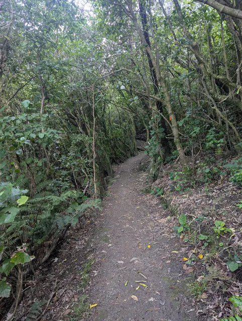 David Farrington Park