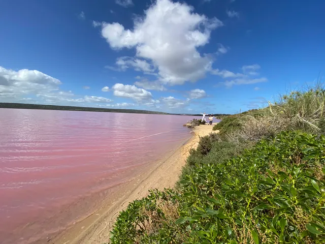 Pink Lake Lookout