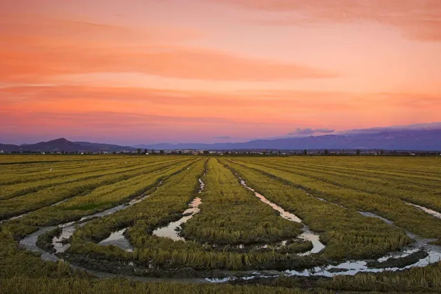 Ebro Delta Natural Park