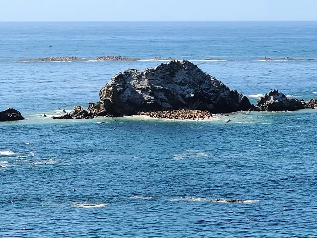 Simpson Reef Overlook
