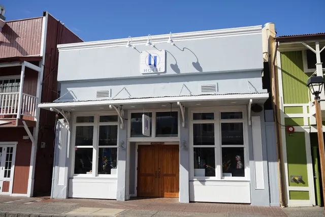 Holle Fine Art Gallery