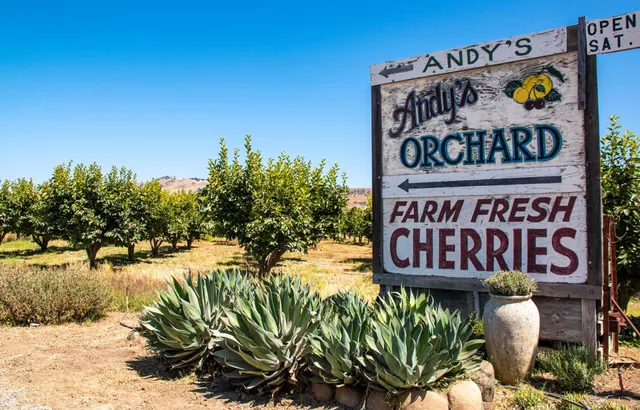 Andy's Orchard