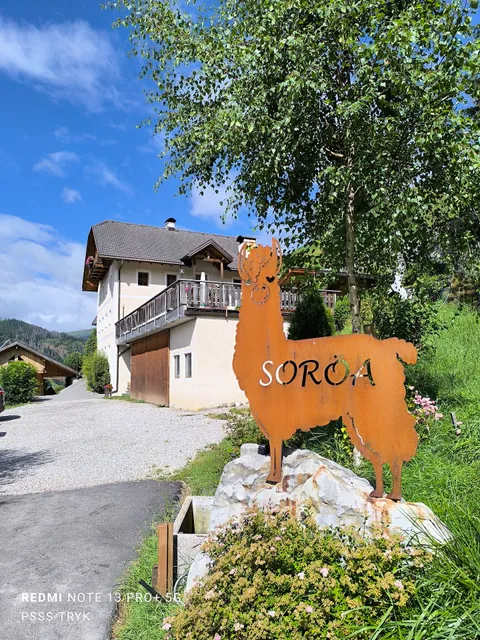 Soröa