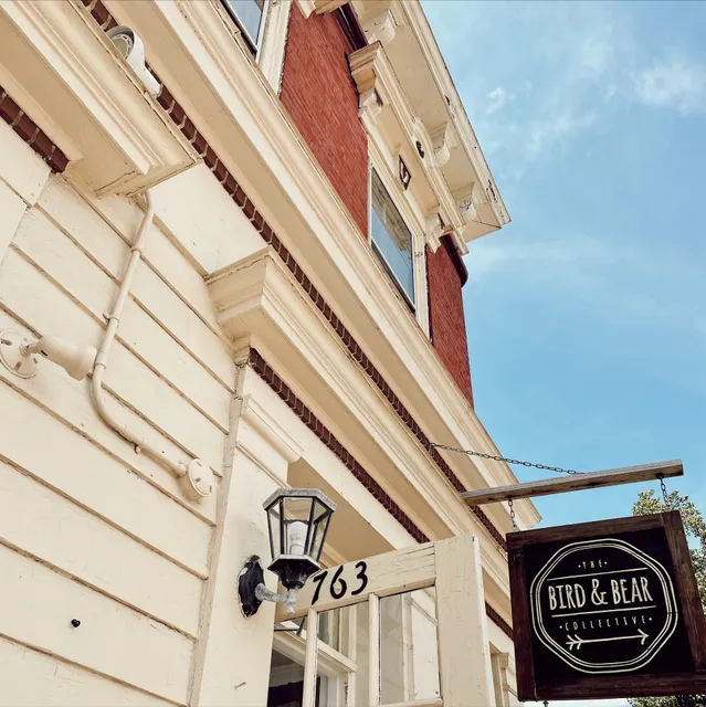 The Bird and Bear Collective