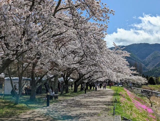 Kogamasao Memorial Park