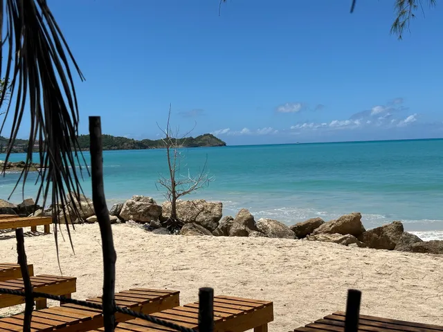 Tree House Beach Club