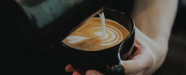 The Boy & The Bear - Sherman Oaks